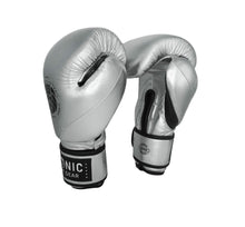 Load image into Gallery viewer, Silver Training Gloves
