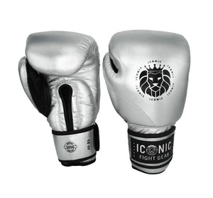 Silver Training Gloves